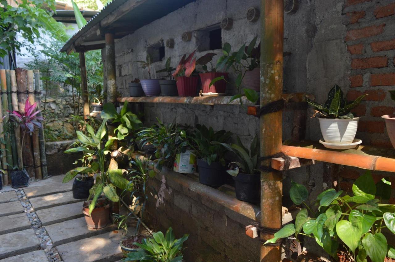 Labuan Bajo Mahoni Guesthouse Экстерьер фото